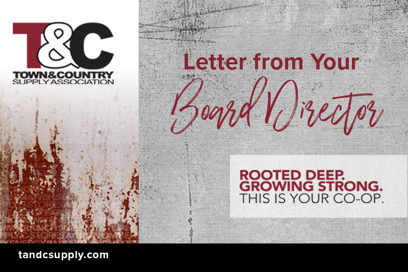 Letter from your board director