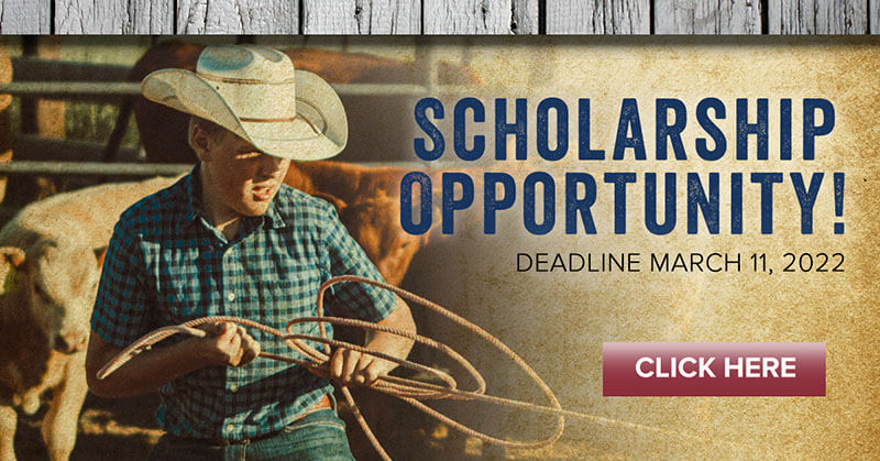 Town & Country Supply Association Scholarships