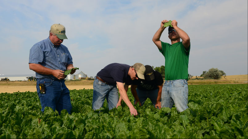 Farm and Ranch In Field Testing