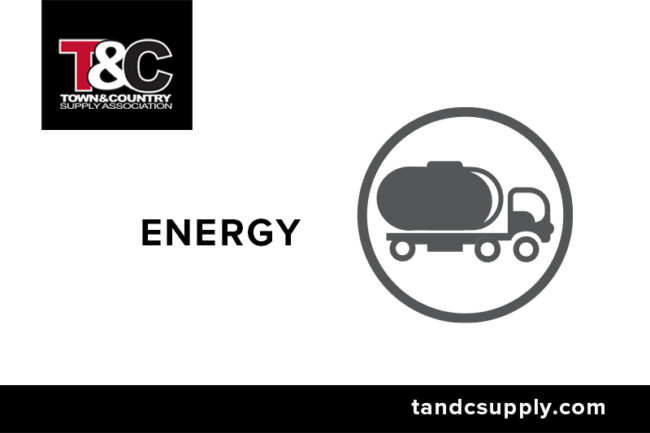WordPress Icon Graphic 3