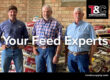 WP Feed Sales Men