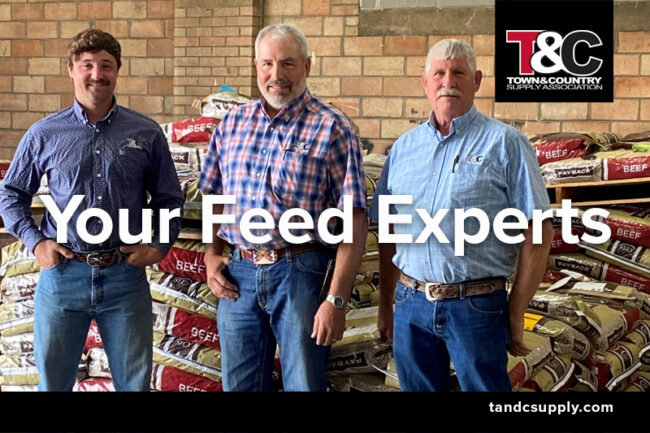 WP Feed Sales Men